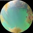 ./images/calvert/underwater/20260830/underwater20260830_154001M.jpg