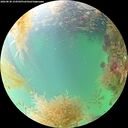./images/calvert/underwater/20260830/underwater20260830_154501M.jpg