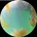 ./images/calvert/underwater/20260830/underwater20260830_155001M.jpg