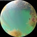 ./images/calvert/underwater/20260830/underwater20260830_155501M.jpg