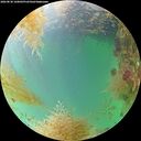 ./images/calvert/underwater/20260830/underwater20260830_160001M.jpg