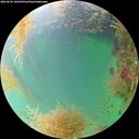 ./images/calvert/underwater/20260830/underwater20260830_160501M.jpg