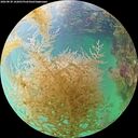 ./images/calvert/underwater/20260830/underwater20260830_162001M.jpg
