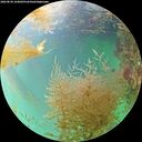 ./images/calvert/underwater/20260830/underwater20260830_164002M.jpg