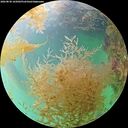 ./images/calvert/underwater/20260830/underwater20260830_165002M.jpg