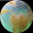./images/calvert/underwater/20260830/underwater20260830_165501M.jpg