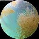 ./images/calvert/underwater/20260830/underwater20260830_170001M.jpg