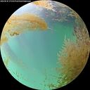./images/calvert/underwater/20260830/underwater20260830_171501M.jpg