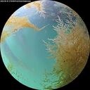 ./images/calvert/underwater/20260830/underwater20260830_173001M.jpg
