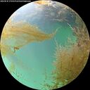 ./images/calvert/underwater/20260830/underwater20260830_173502M.jpg