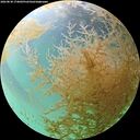 ./images/calvert/underwater/20260830/underwater20260830_174002M.jpg