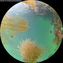 ./images/calvert/underwater/20260830/underwater20260830_175002M.jpg