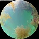 ./images/calvert/underwater/20260830/underwater20260830_180001M.jpg