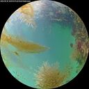 ./images/calvert/underwater/20260830/underwater20260830_180501M.jpg