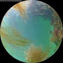 ./images/calvert/underwater/20260830/underwater20260830_181501M.jpg