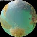 ./images/calvert/underwater/20260830/underwater20260830_184502M.jpg