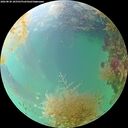 ./images/calvert/underwater/20260830/underwater20260830_185501M.jpg