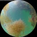 ./images/calvert/underwater/20260830/underwater20260830_191001M.jpg