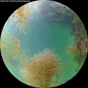 ./images/calvert/underwater/20260830/underwater20260830_191501M.jpg