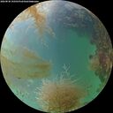 ./images/calvert/underwater/20260830/underwater20260830_192501M.jpg