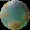./images/calvert/underwater/20260830/underwater20260830_193001M.jpg