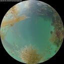 ./images/calvert/underwater/20260830/underwater20260830_194501M.jpg