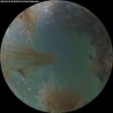 ./images/calvert/underwater/20260830/underwater20260830_203001M.jpg