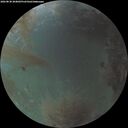./images/calvert/underwater/20260830/underwater20260830_204001M.jpg