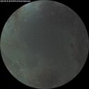 ./images/calvert/underwater/20260830/underwater20260830_204501M.jpg