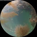./images/calvert/underwater/20260831/underwater20260831_070001M.jpg