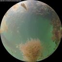 ./images/calvert/underwater/20260831/underwater20260831_072002M.jpg