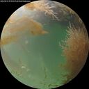 ./images/calvert/underwater/20260831/underwater20260831_073501M.jpg