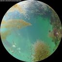 ./images/calvert/underwater/20260831/underwater20260831_081001M.jpg