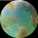 ./images/calvert/underwater/20260831/underwater20260831_082001M.jpg