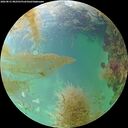 ./images/calvert/underwater/20260831/underwater20260831_082502M.jpg