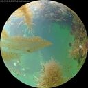 ./images/calvert/underwater/20260831/underwater20260831_084501M.jpg