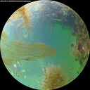 ./images/calvert/underwater/20260831/underwater20260831_085001M.jpg