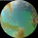 ./images/calvert/underwater/20260831/underwater20260831_085501M.jpg