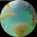 ./images/calvert/underwater/20260831/underwater20260831_090002M.jpg