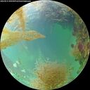 ./images/calvert/underwater/20260831/underwater20260831_090501M.jpg