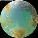 ./images/calvert/underwater/20260831/underwater20260831_092002M.jpg