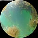 ./images/calvert/underwater/20260831/underwater20260831_094501M.jpg
