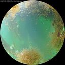 ./images/calvert/underwater/20260831/underwater20260831_095001M.jpg