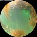 ./images/calvert/underwater/20260831/underwater20260831_101001M.jpg