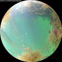 ./images/calvert/underwater/20260831/underwater20260831_124501M.jpg