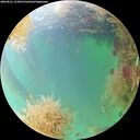 ./images/calvert/underwater/20260831/underwater20260831_131001M.jpg