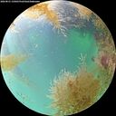 ./images/calvert/underwater/20260831/underwater20260831_135001M.jpg
