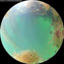 ./images/calvert/underwater/20260831/underwater20260831_141001M.jpg