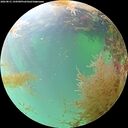 ./images/calvert/underwater/20260831/underwater20260831_144501M.jpg