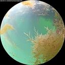./images/calvert/underwater/20260831/underwater20260831_145002M.jpg